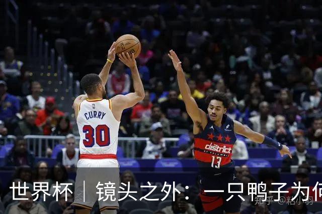 世界杯｜镜头之外：一只鸭子为何火遍世界杯？